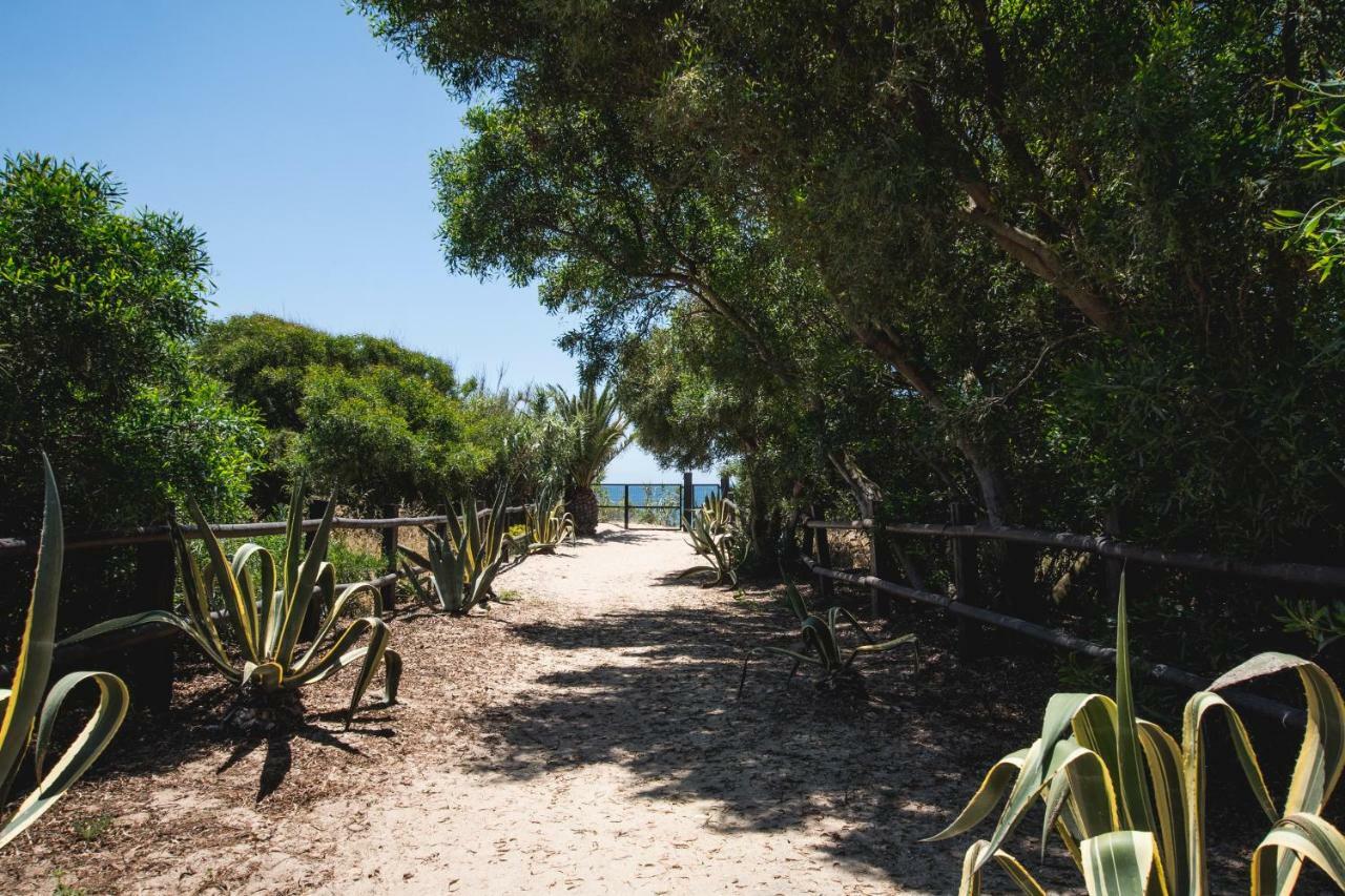 Casara Uno - Hermoso Loft En Playa Zahora Eksteriør bilde